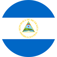 Primera Division Apertura