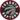 Toronto Raptors