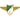 Moreirense