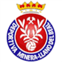 Deportiva Minera