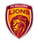 Bulleen Lions