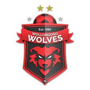 Wollongong Wolves U20