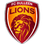 Bulleen Lions
