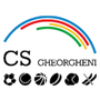 Gheorgheni