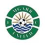 Mgarr United