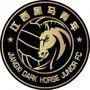 Jiangxi Dark Horse Junior