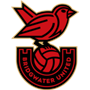 Bridgwater United (w)