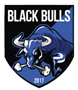Black Bulls Maputo